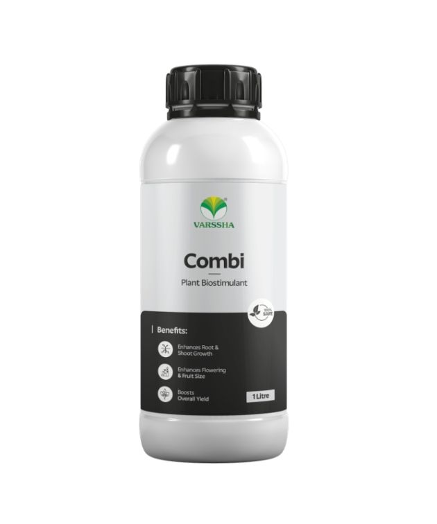 COMBI