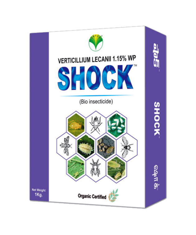 Shock