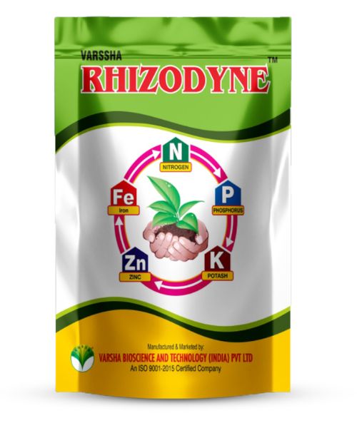 Rhizodyne
