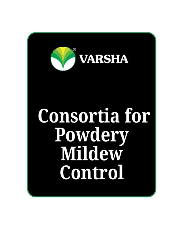 Consortia for Powdery Mildew Control