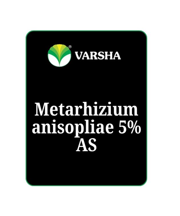 Metarhizium anisopliae 5% AS